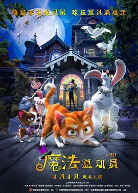 伦理区
