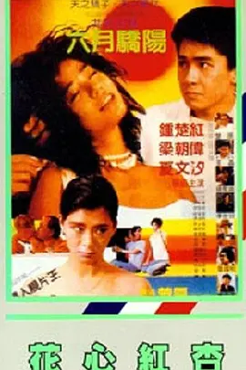 国产欧美二区三区