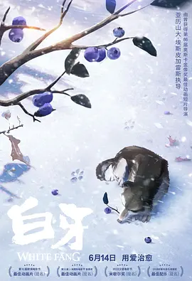 国产视频在线观看视频