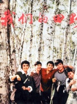 职业助手