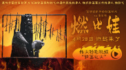麻豆成人小视频