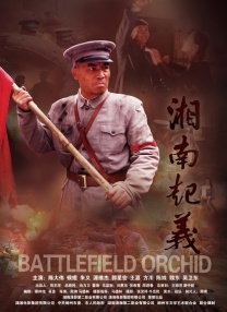 aaa在线视频