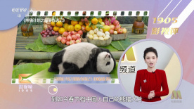 午夜高清免费观看视频